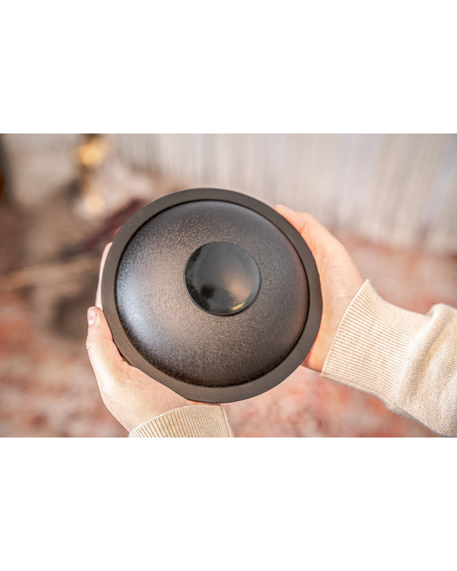Meinl Sonic Energy MSTD1BK Mini Steel Tongue Drum 6