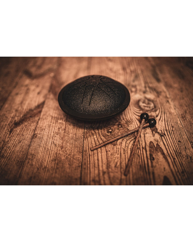 Meinl Sonic Energy MSTD2NB Mini Steel Tongue Drum 6