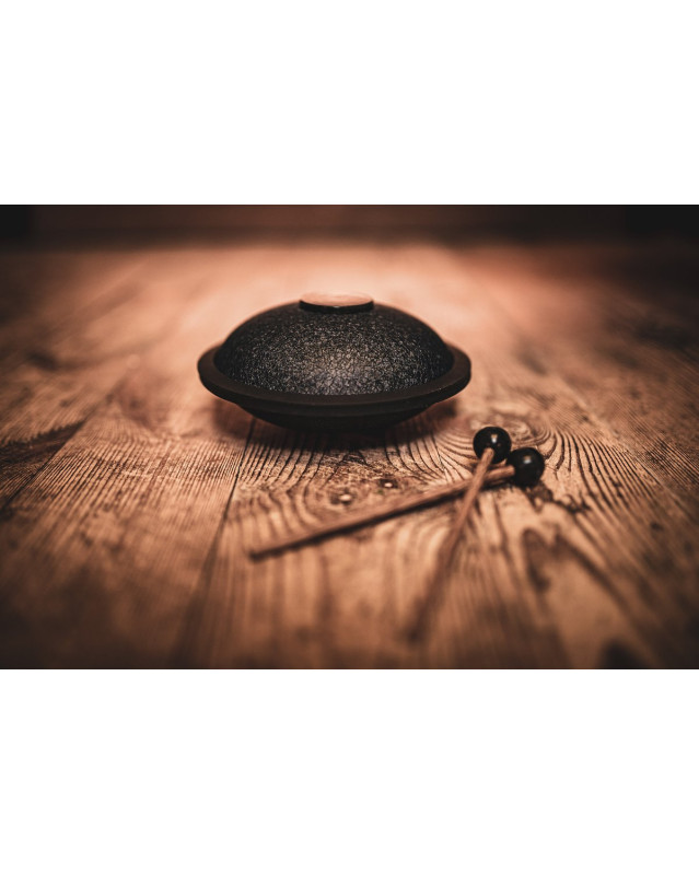 Meinl Sonic Energy MSTD2NB Mini Steel Tongue Drum 6