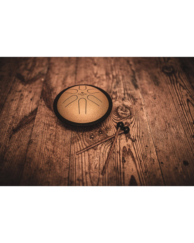 Meinl Sonic Energy MSTD3G Mini Steel Tongue Drum 6