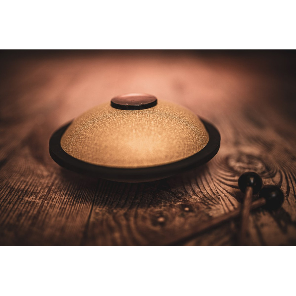Meinl Sonic Energy MSTD3G Mini Steel Tongue Drum 6
