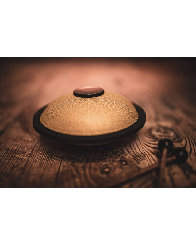Meinl Sonic Energy MSTD3G Mini Steel Tongue Drum 6