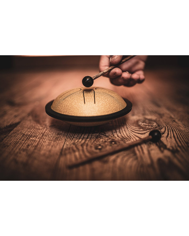 Meinl Sonic Energy MSTD3G Mini Steel Tongue Drum 6