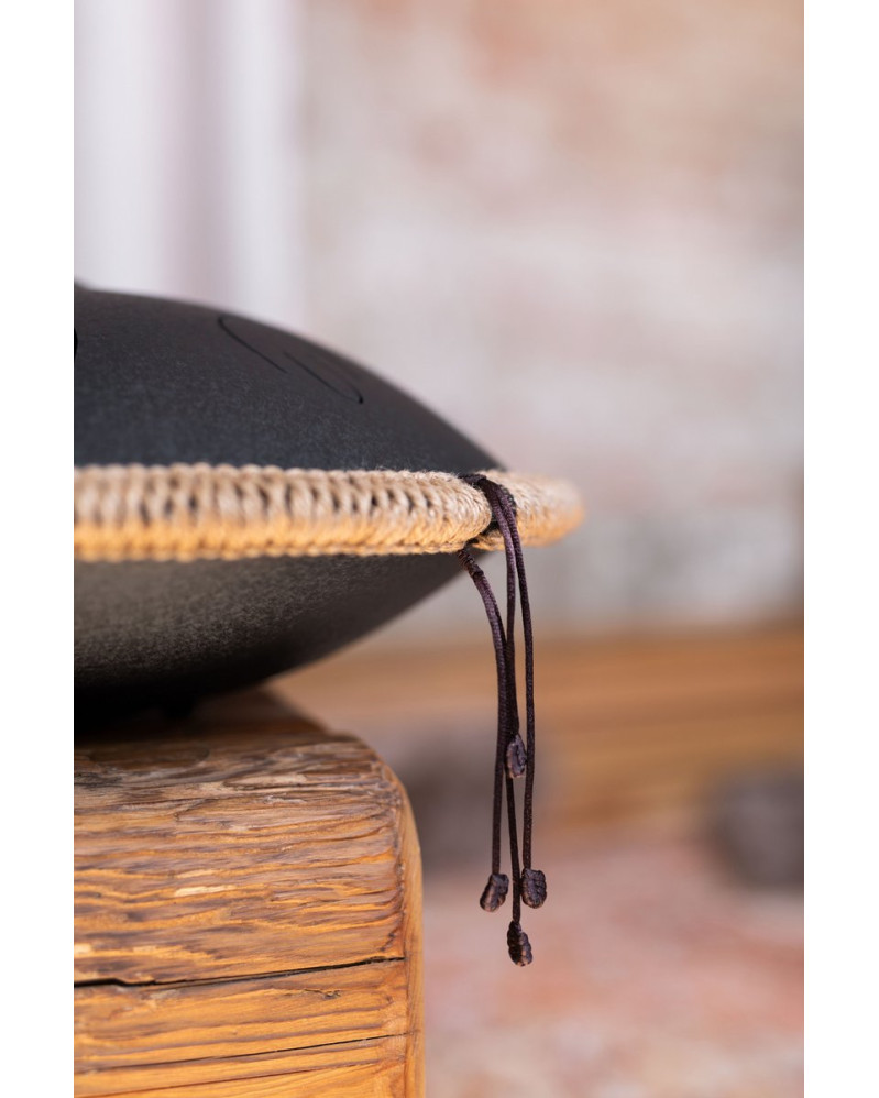 Meinl Sonic Energy OSTD1BK Octave Steel Tongue Drum 16