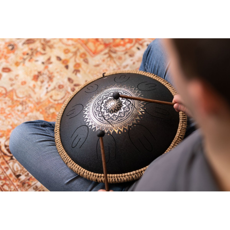 Meinl Sonic Energy OSTD1BKE Octave Steel Tongue Drum 16