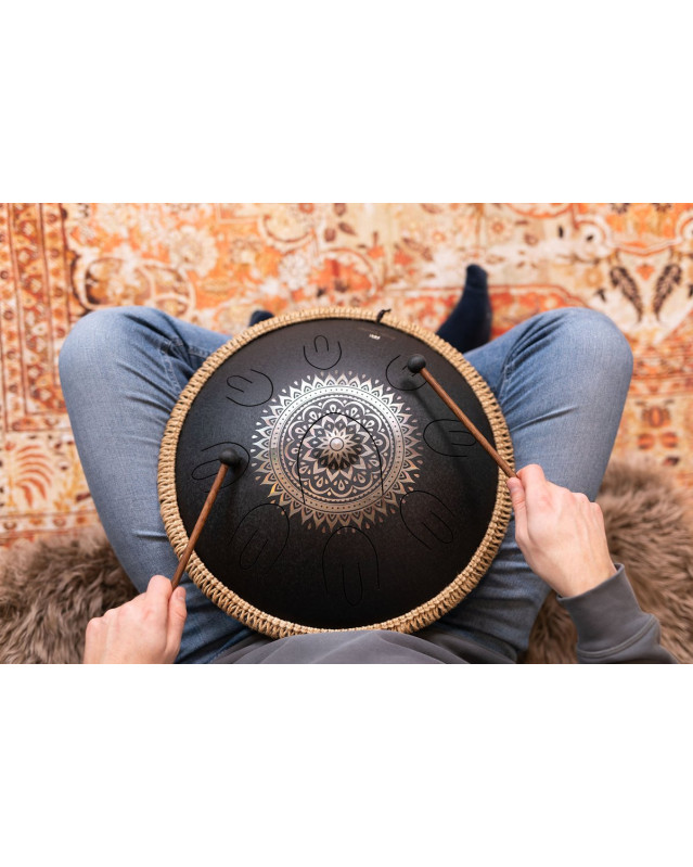 Meinl Sonic Energy OSTD1BKE Octave Steel Tongue Drum 16