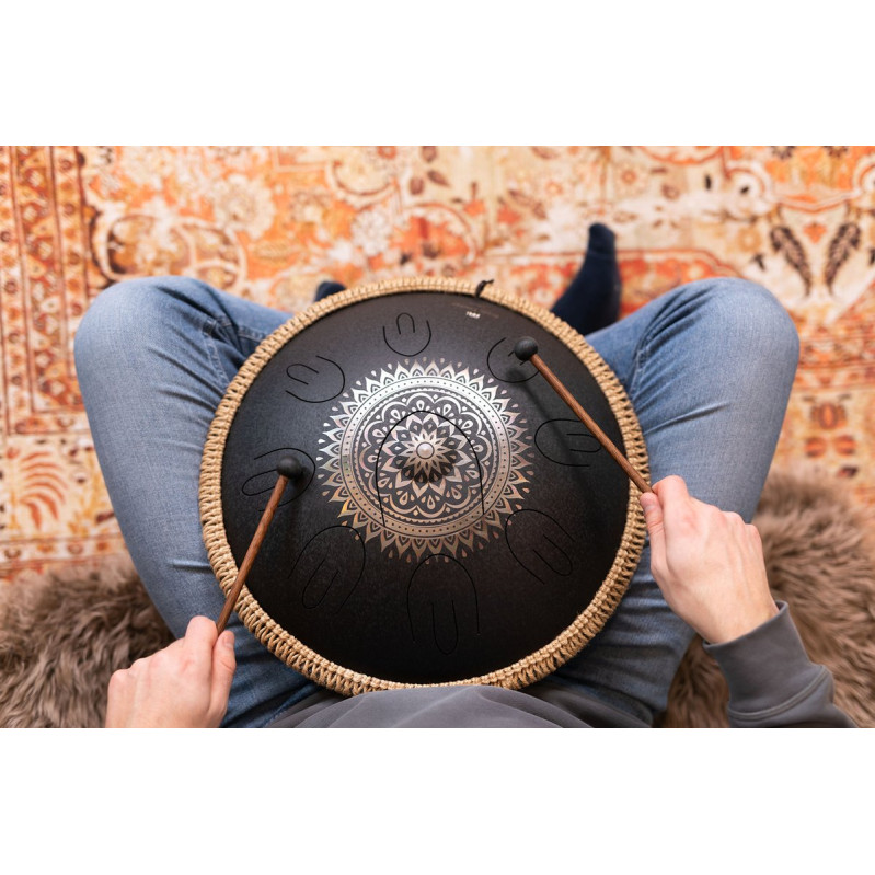 Meinl Sonic Energy OSTD1BKE Octave Steel Tongue Drum 16