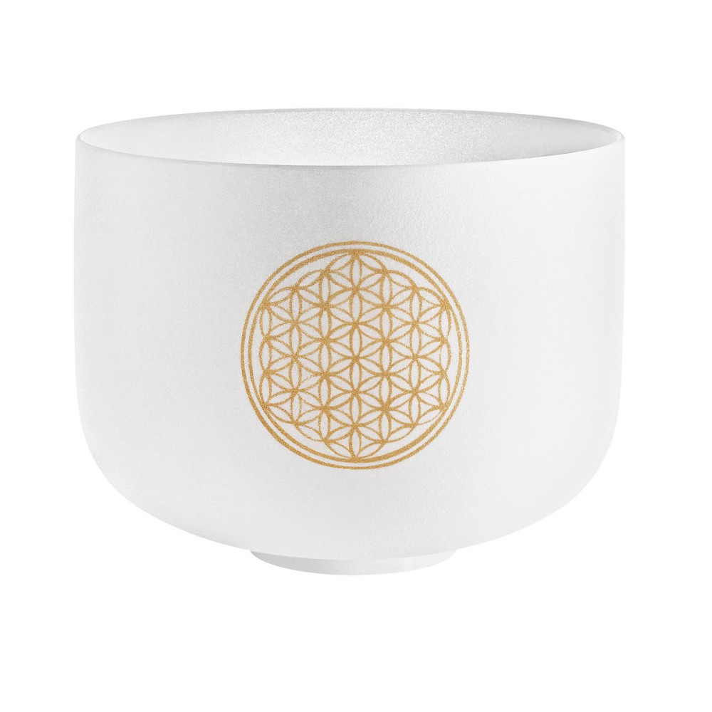 Meinl Sonic Energy PCSB10FOL Crystal Singing Bowl 10