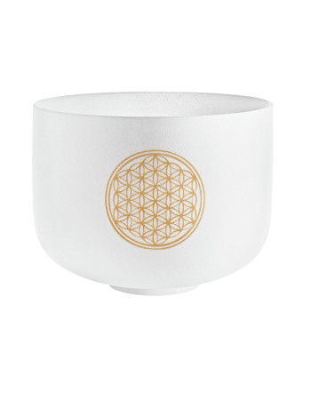 Meinl Sonic Energy PCSB10FOL Crystal Singing Bowl 10