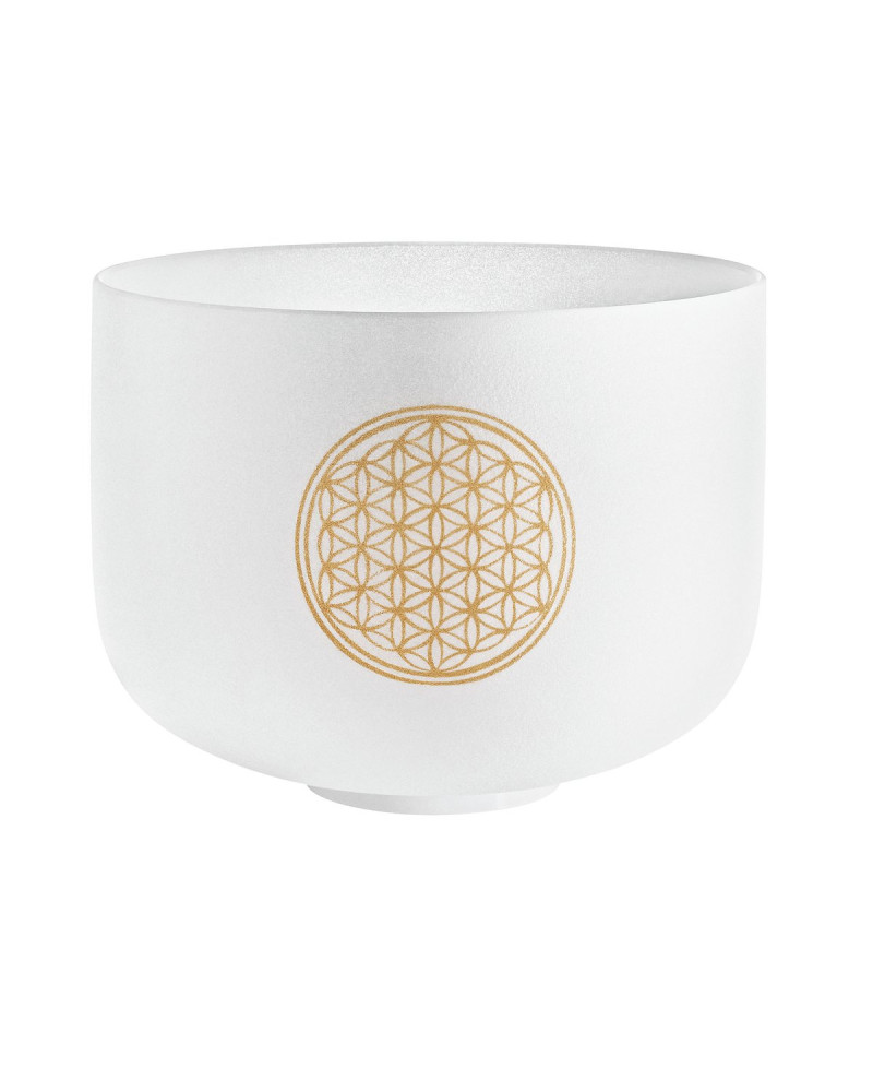 Meinl Sonic Energy PCSB10FOL Crystal Singing Bowl 10