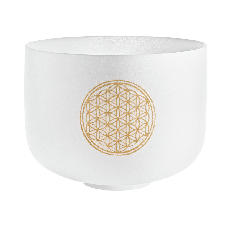 Meinl Sonic Energy PCSB10FOL Crystal Singing Bowl 10