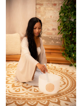 Meinl Sonic Energy PCSB10FOL Crystal Singing Bowl 10