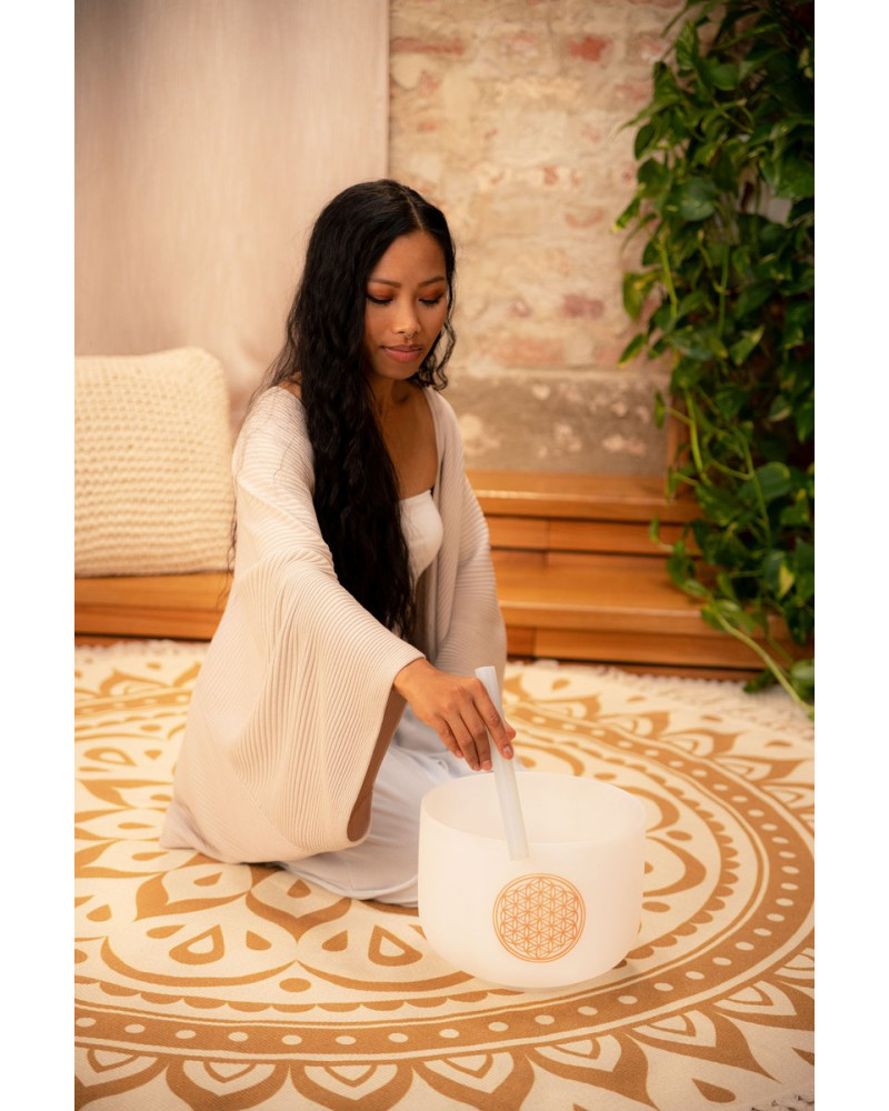 Meinl Sonic Energy PCSB10FOL Crystal Singing Bowl 10