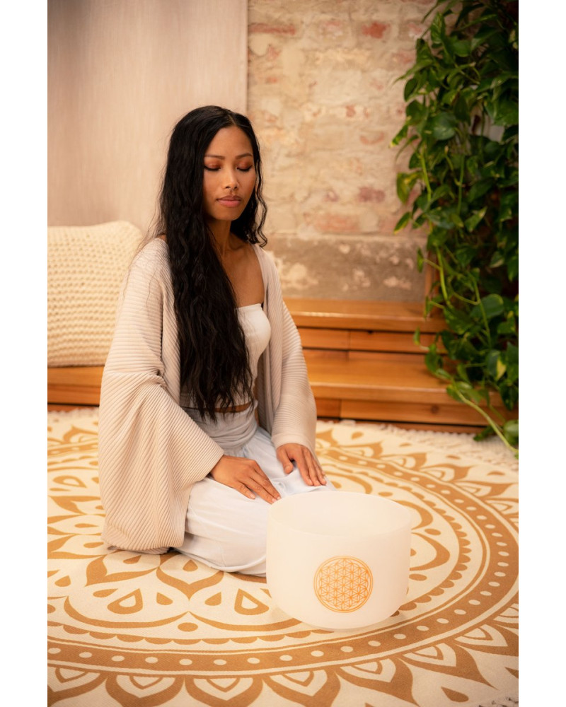 Meinl Sonic Energy PCSB10FOL Crystal Singing Bowl 10