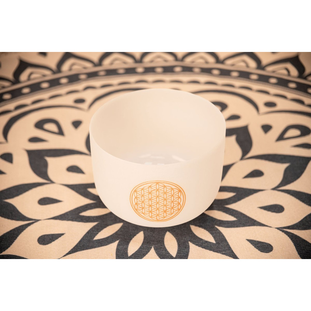 Meinl Sonic Energy PCSB10FOL Crystal Singing Bowl 10