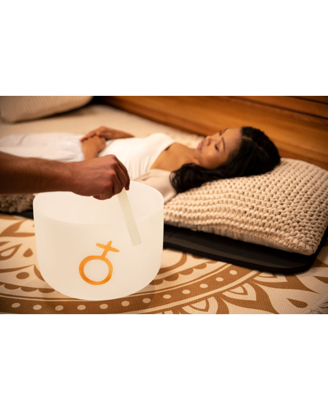 Meinl Sonic Energy PCSB12EPL Planetary Tuned Crystal Singing Bowl 12