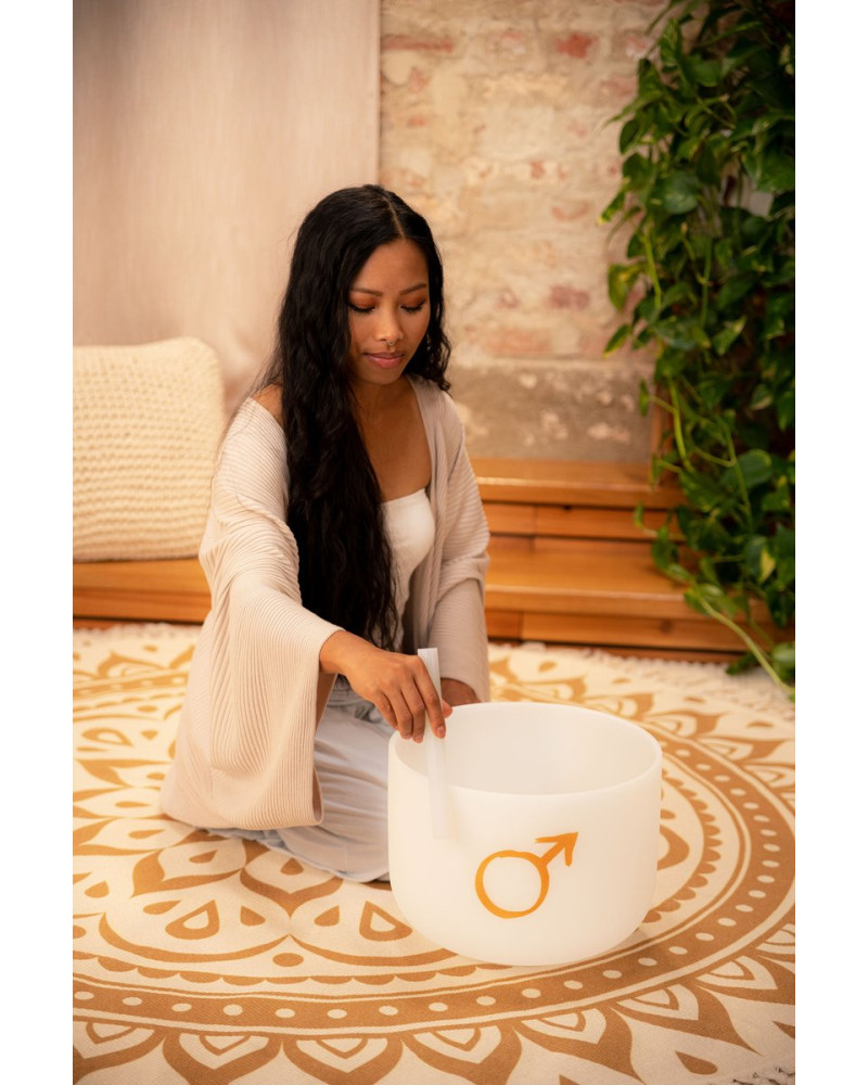 Meinl Sonic Energy PCSB12MA Planetary Tuned Crystal Singing Bowl 12