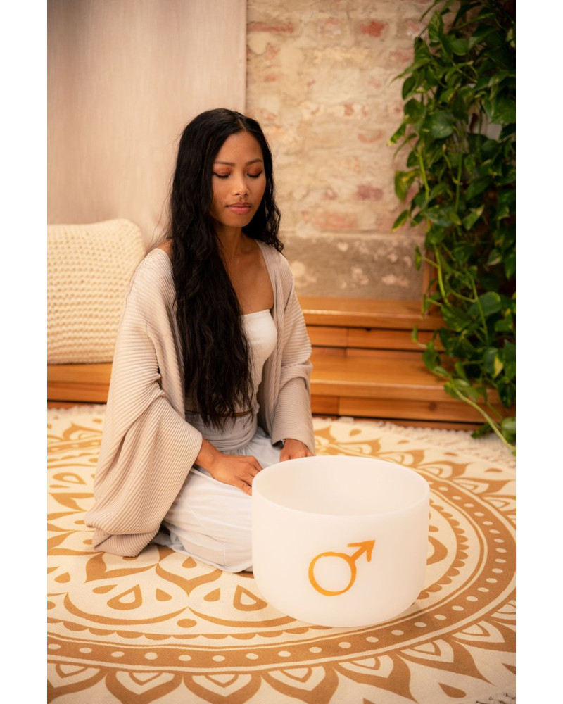 Meinl Sonic Energy PCSB12MA Planetary Tuned Crystal Singing Bowl 12