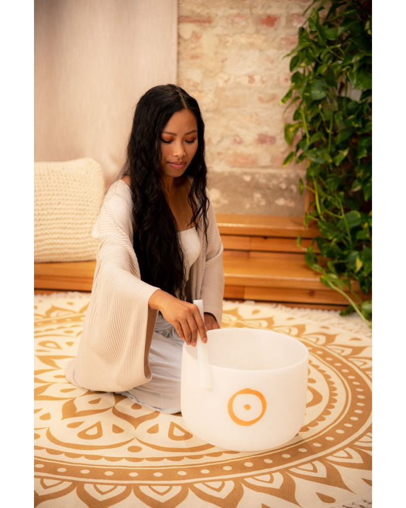 Meinl Sonic Energy PCSB12S Planetary Tuned Crystal Singing Bowl 12