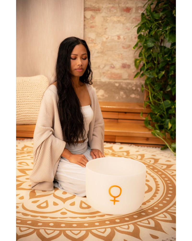 Meinl Sonic Energy PCSB12V Planetary Tuned Crystal Singing Bowl 12