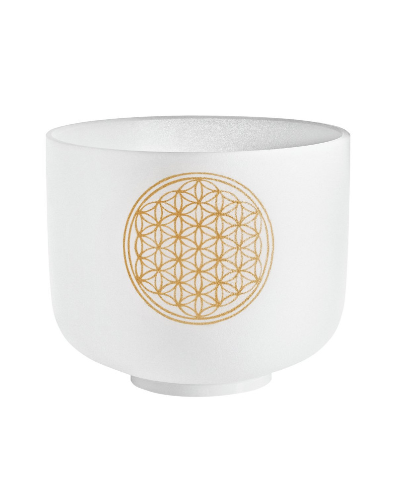 Meinl Sonic Energy PCSB8FOL Crystal Singing Bowl 8