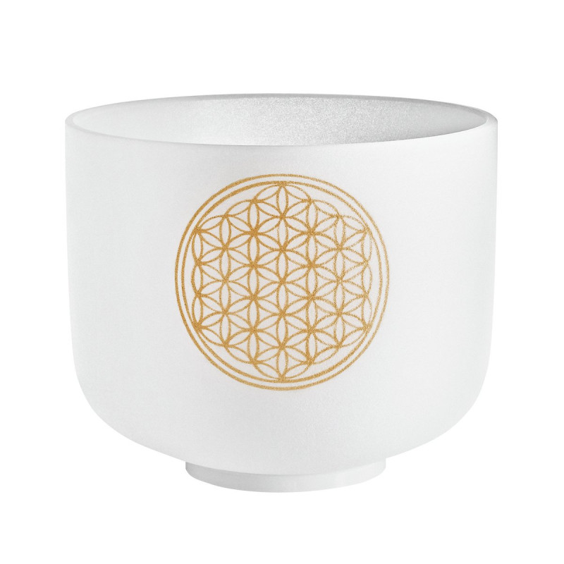 Meinl Sonic Energy PCSB8FOL Crystal Singing Bowl 8