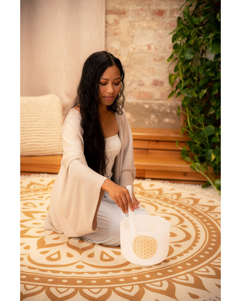 Meinl Sonic Energy PCSB8FOL Crystal Singing Bowl 8