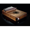 Meinl Sonic Energy PKL1707H Soundhole Pickup Kalimba - 17 notes / acacia