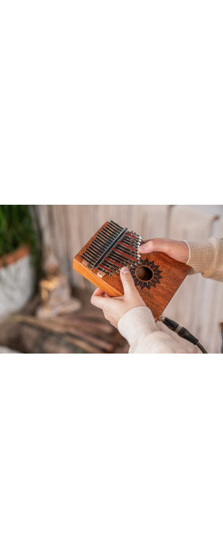 Meinl Sonic Energy PKL1708H Soundhole Pickup Kalimba - 17 notes / mahogany