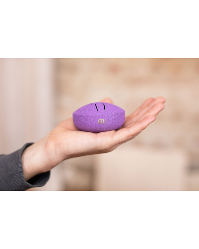 Meinl Sonic Energy PSTD1PLF Pocket Steel Tongue Drum 3