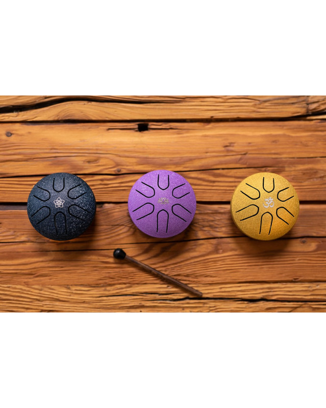 Meinl Sonic Energy PSTD2NBVF Pocket Steel Tongue Drum 3