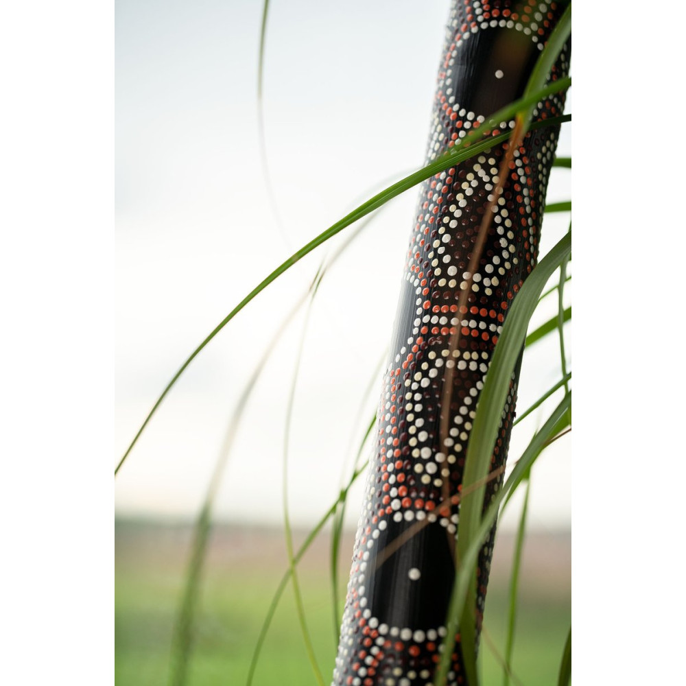 Meinl Sonic Energy RS1S Bamboo Rainstick Small - Dot Painted/Black