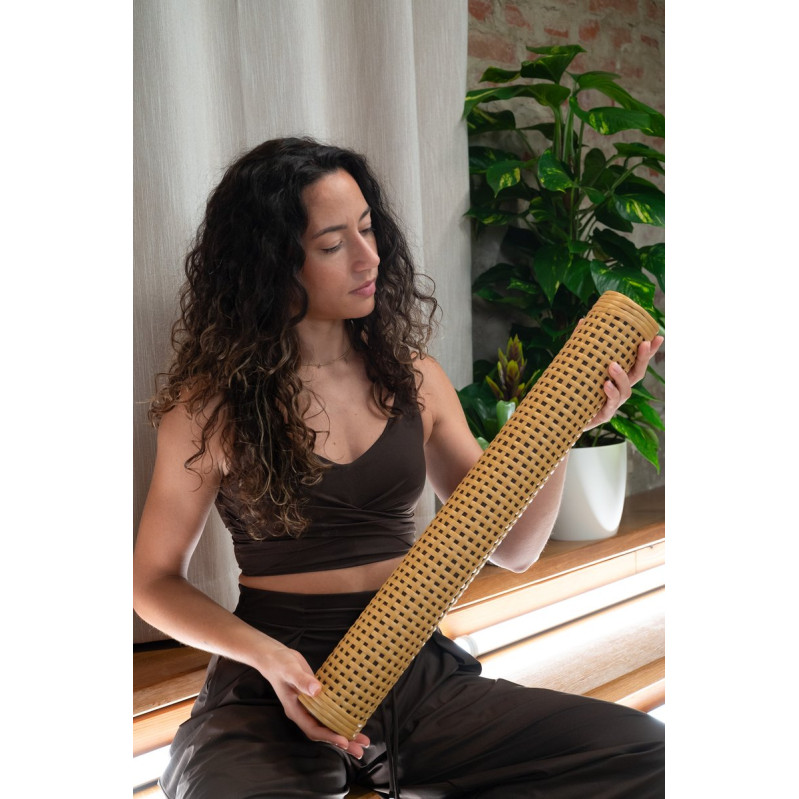 Meinl Sonic Energy RS2M Synthetic Rattan Rainstick, Small