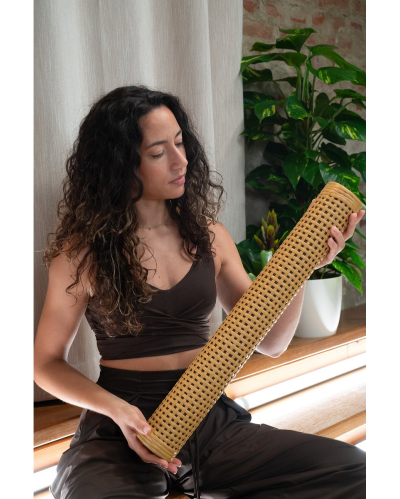 Meinl Sonic Energy RS2M Synthetic Rattan Rainstick, Small