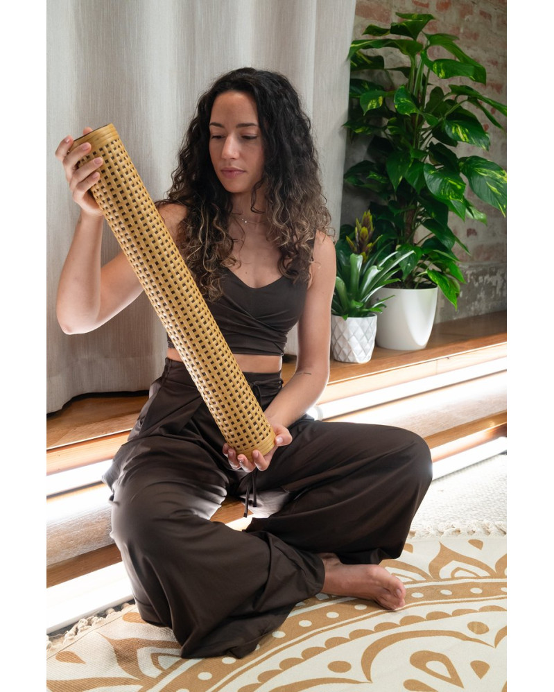 Meinl Sonic Energy RS2M Synthetic Rattan Rainstick, Small