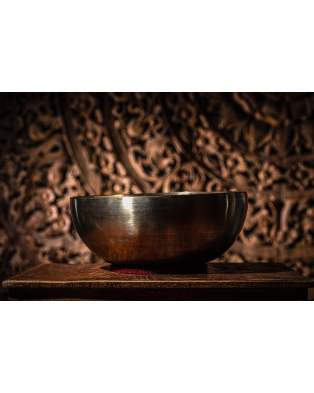 Meinl Sonic Energy SB-E-2200 Energy Therapy Series Singing Bowl - 2200g
