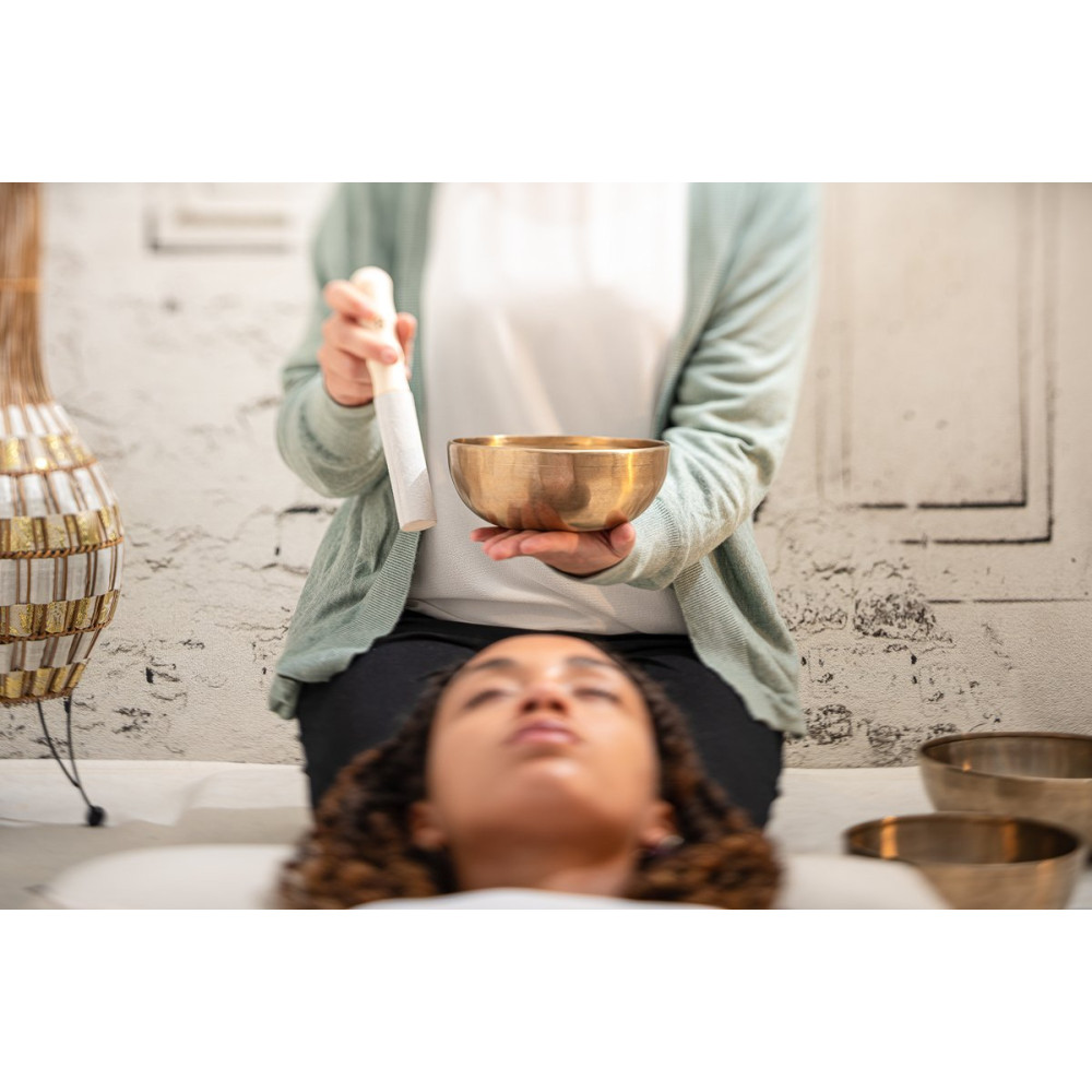 Meinl Sonic Energy SB-E-3100 Energy Therapy Series Singing Bowl Set 5 pcs - 700/1000/1400g + Mallets