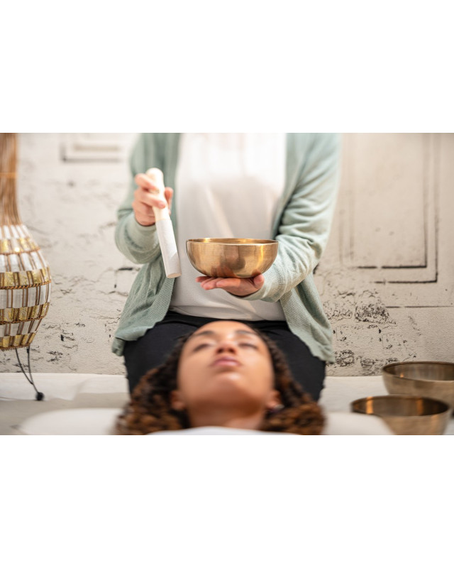 Meinl Sonic Energy SB-E-3100 Energy Therapy Series Singing Bowl Set 5 pcs - 700/1000/1400g + Mallets