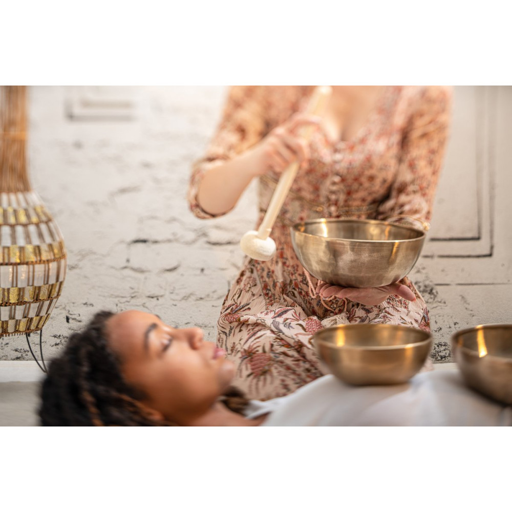 Meinl Sonic Energy SB-E-3100 Energy Therapy Series Singing Bowl Set 5 pcs - 700/1000/1400g + Mallets