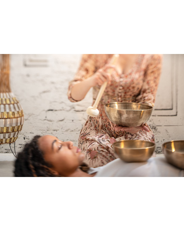 Meinl Sonic Energy SB-E-3100 Energy Therapy Series Singing Bowl Set 5 pcs - 700/1000/1400g + Mallets