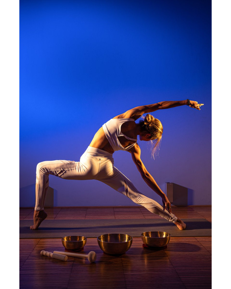 Meinl Sonic Energy SB-E-3100 Energy Therapy Series Singing Bowl Set 5 pcs - 700/1000/1400g + Mallets