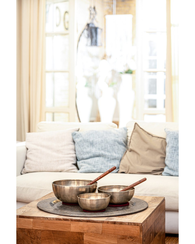 Meinl Sonic Energy SB-E-4600 Energy Therapy Series Basic Singing Bowl Set 5 pcs - 1000/1400/2200g + Mallets