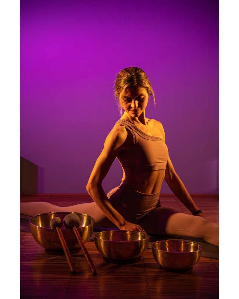 Meinl Sonic Energy SB-E-4600 Energy Therapy Series Basic Singing Bowl Set 5 pcs - 1000/1400/2200g + Mallets