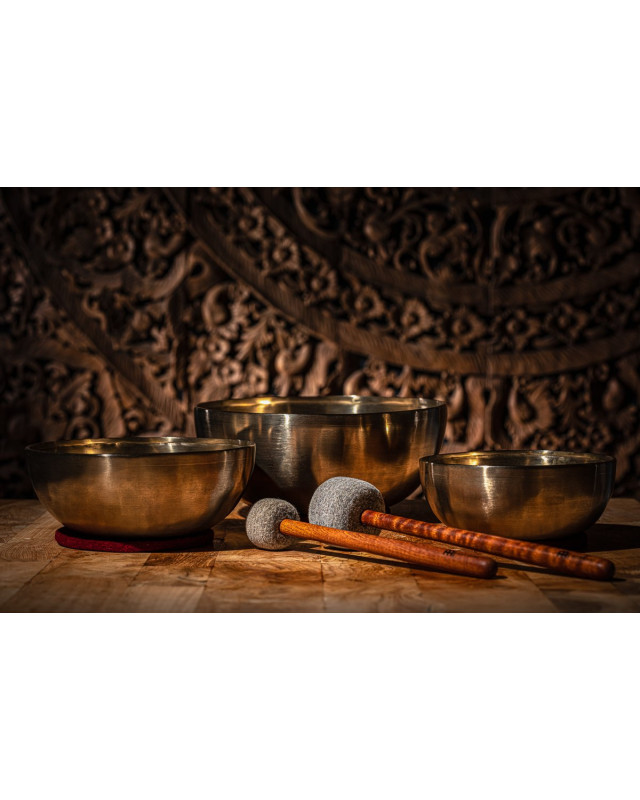 Meinl Sonic Energy SB-E-4600 Energy Therapy Series Basic Singing Bowl Set 5 pcs - 1000/1400/2200g + Mallets