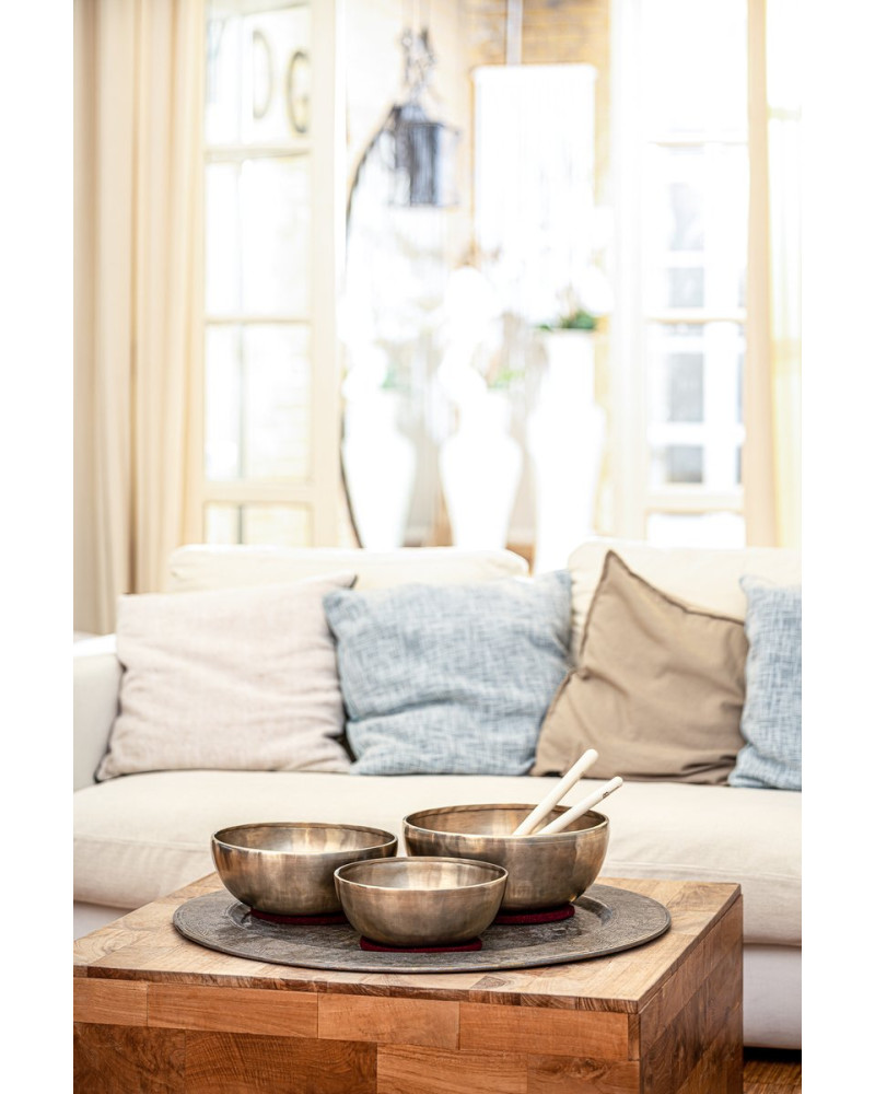 Meinl Sonic Energy SB-E-5400 Energy Therapy Series Singing Bowl Set 6 pcs - 1400/1800/2200g + Mallets