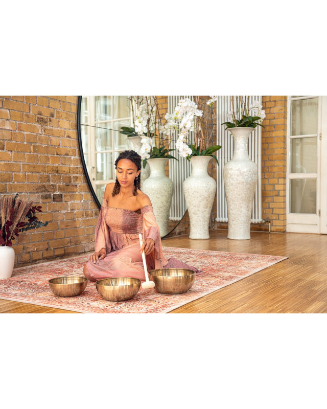 Meinl Sonic Energy SB-E-5400 Energy Therapy Series Singing Bowl Set 6 pcs - 1400/1800/2200g + Mallets