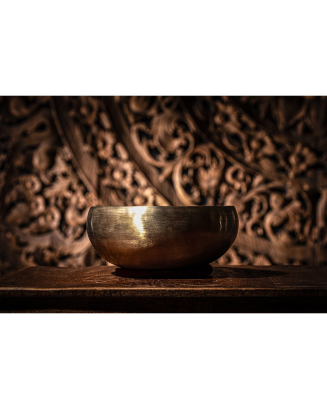 Meinl Sonic Energy SB-S-FOL-1000 Synthesis Series Flower of Life Singing Bowl - 1000g