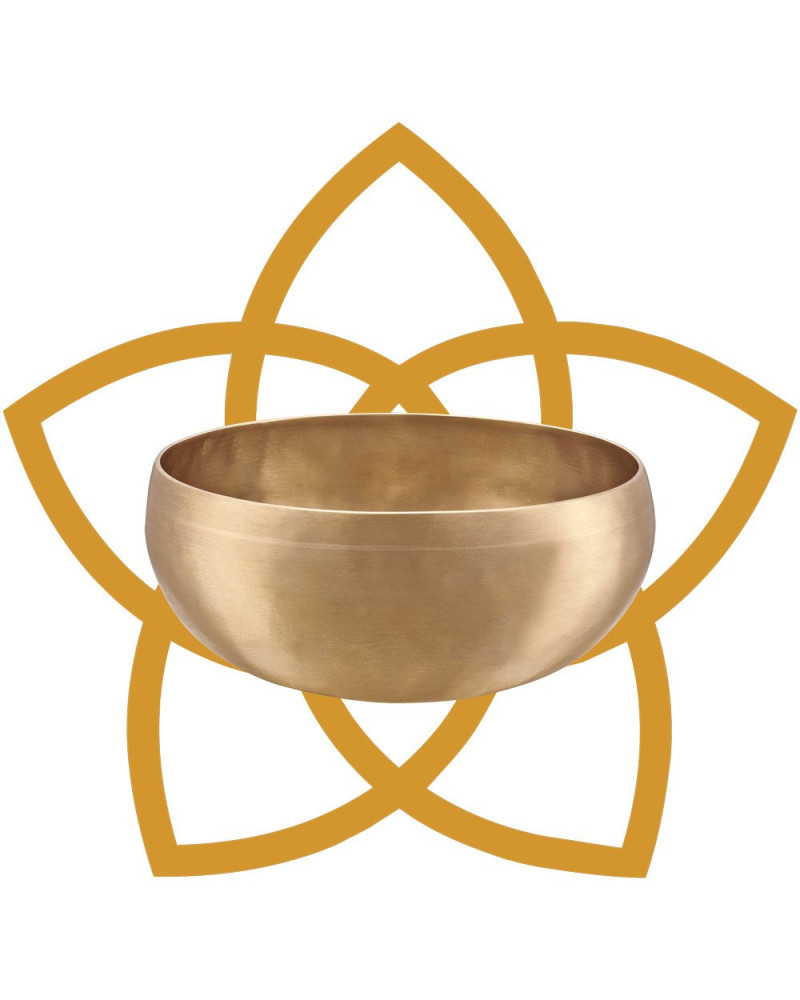 Meinl Sonic Energy SB-S-VF-1000 Synthesis Series Venus Flower Singing Bowl - 1000g