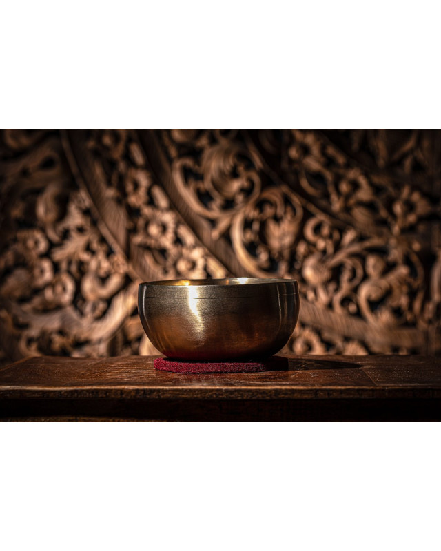 Meinl Sonic Energy SB-U-700 Universal Series Singing Bowl - 700g