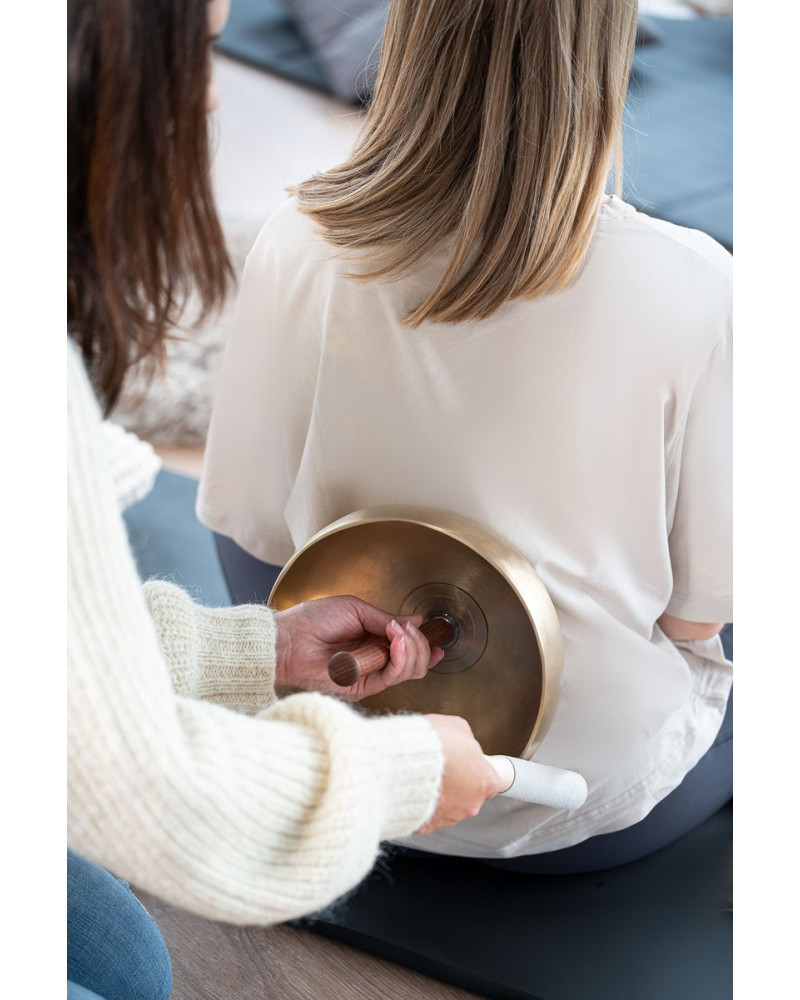 Meinl Sonic Energy SBSHM Singing Bowl Suction Holder - Medium